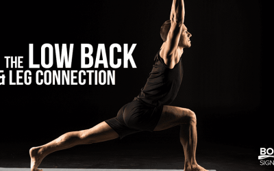 The Low Back and Leg Connection