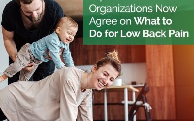 Top Healthcare Organizations Now Agree on What to Do for Low Back Pain